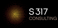 S317 Consulting