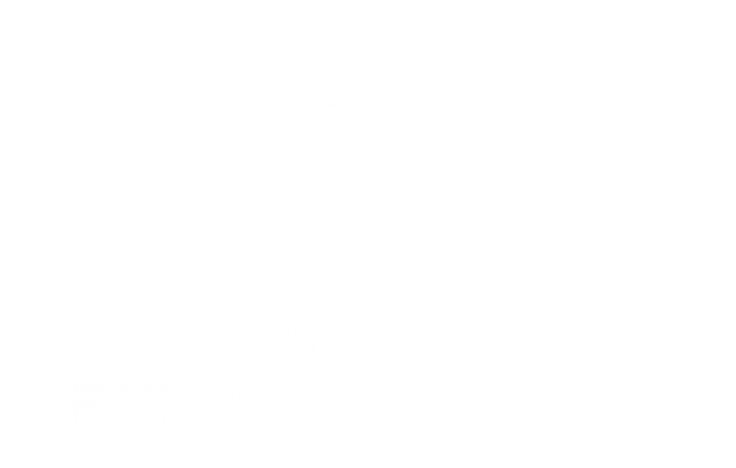 gobierno del estado de mexico s317 consulting gobierno del estado de mexico s317